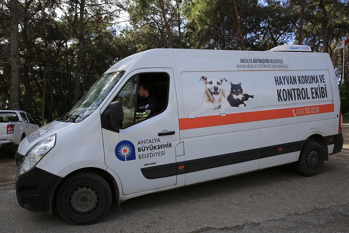 Büyükşehir Belediyesi, bayram tatilinde minik dostlarımızı yalnız bırakmayacak