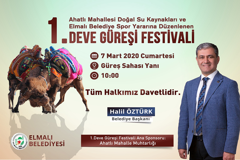 1. Elmalı Deve Güreşleri Festivali