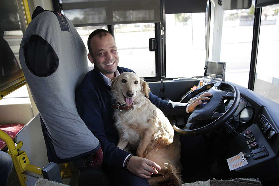 Soğuk havada otobüse sığınan köpek içimizi ısıttı 