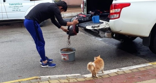 Sokağa çıkma kısıtlamasında can dostları unutulmadı