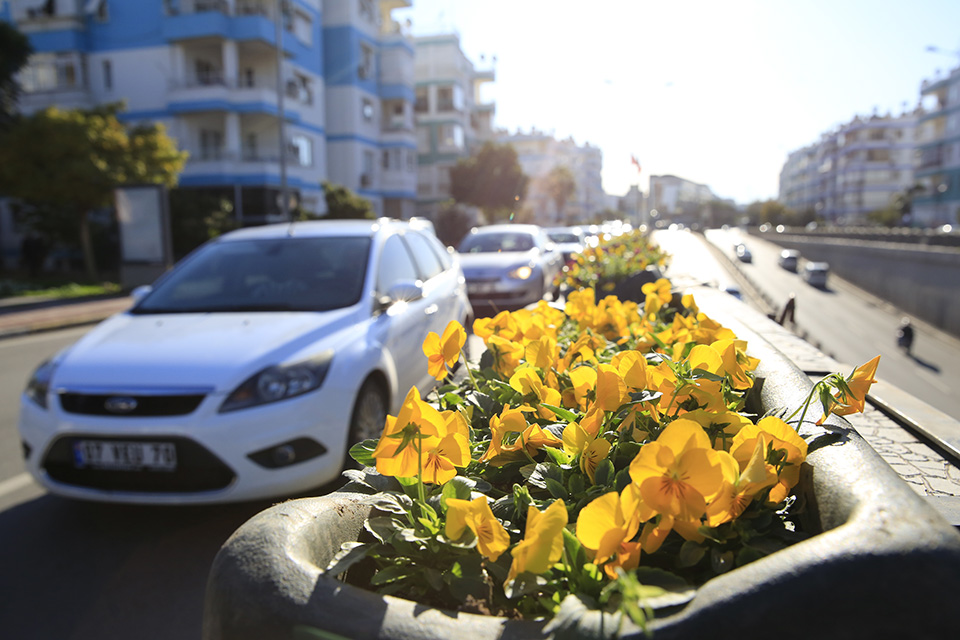 Büyükşehir Belediyesi köprülü kavşakları çiçeklerle süsledi