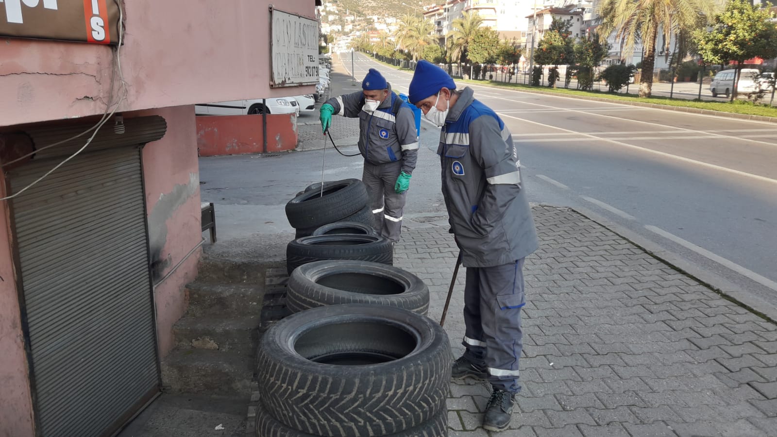 Büyükşehir sinek ve haşereyle mücadelesini sürdürüyor  