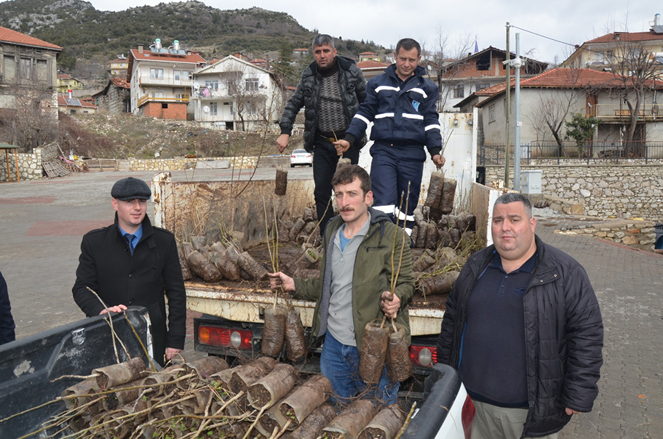 İbradı’da çiftçilere fide desteği