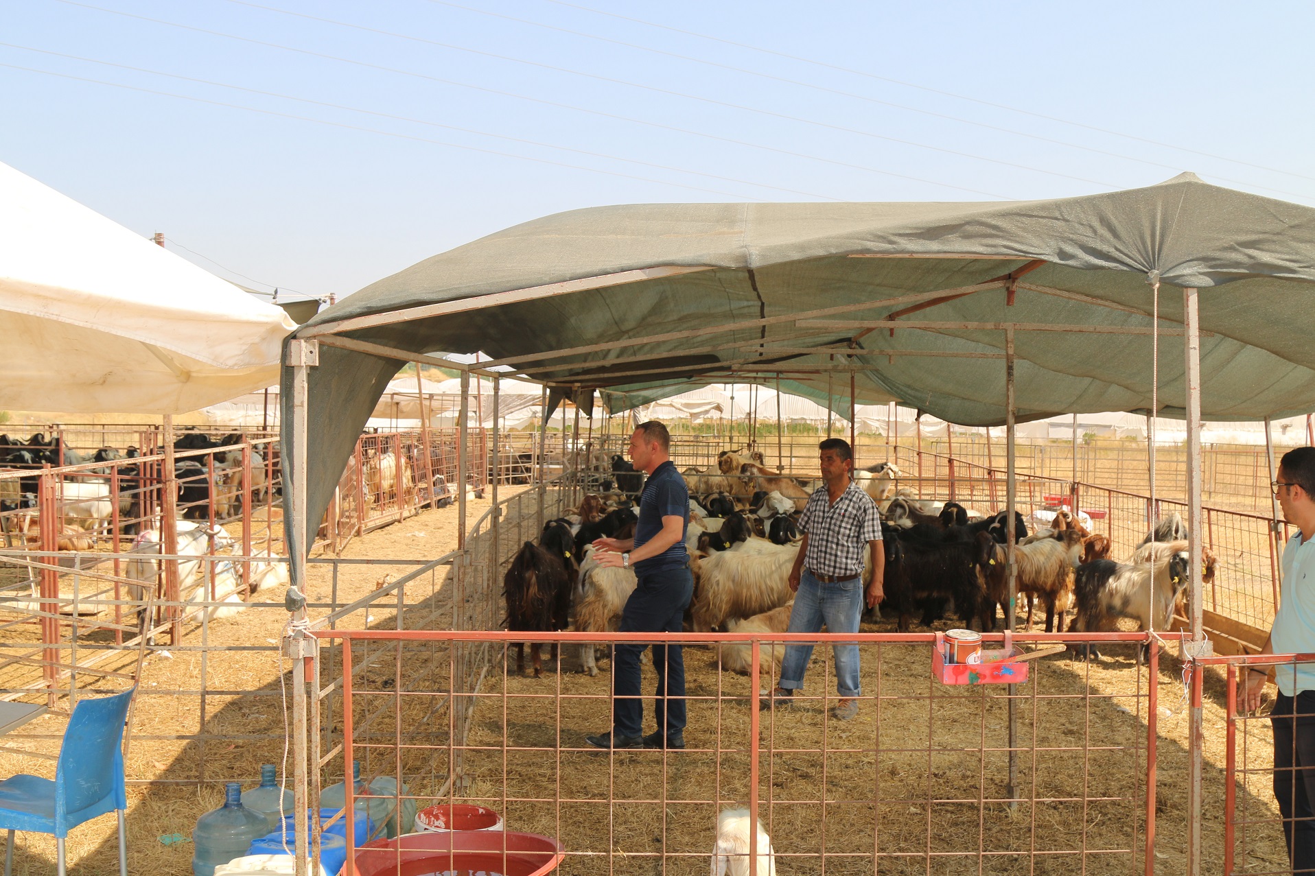 AKSU ZABITADA’DAN KURBAN DENETİMİ