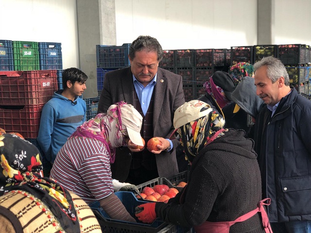 CHP’Lİ ÖZER: ELMA İHRACATI DURMA NOKTASINDA