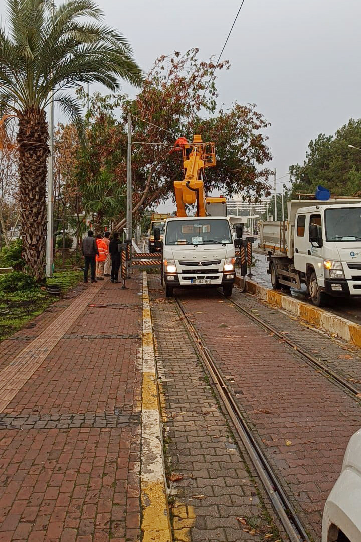  Büyükşehir fırtınadan devrilen ağaçlara müdahale etti